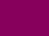 Robison-Anton - 40-Wt - Polyester - 9017 - Raspberry Ice - 1100 Yards